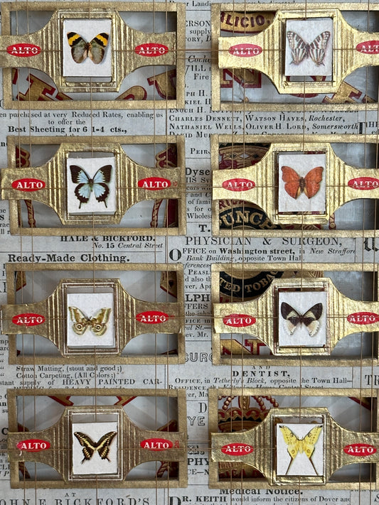 MEDIUM ALTO BUTTERFLY'S CIGAR BOX