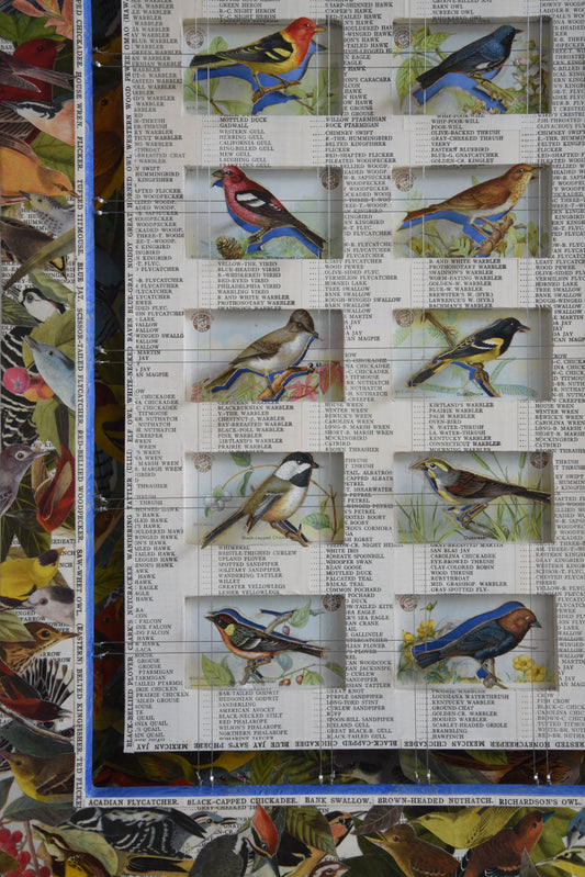A&H BIRD COLLECTION No. 1 - Sold