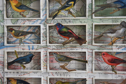 A&H BIRD COLLECTION No. 2 - Sold