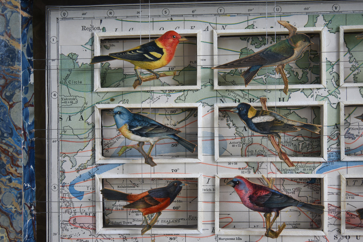 A&H BIRD COLLECTION No. 2 - Sold