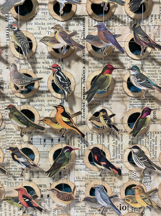 BIRD HOMES No. 1 - Sold