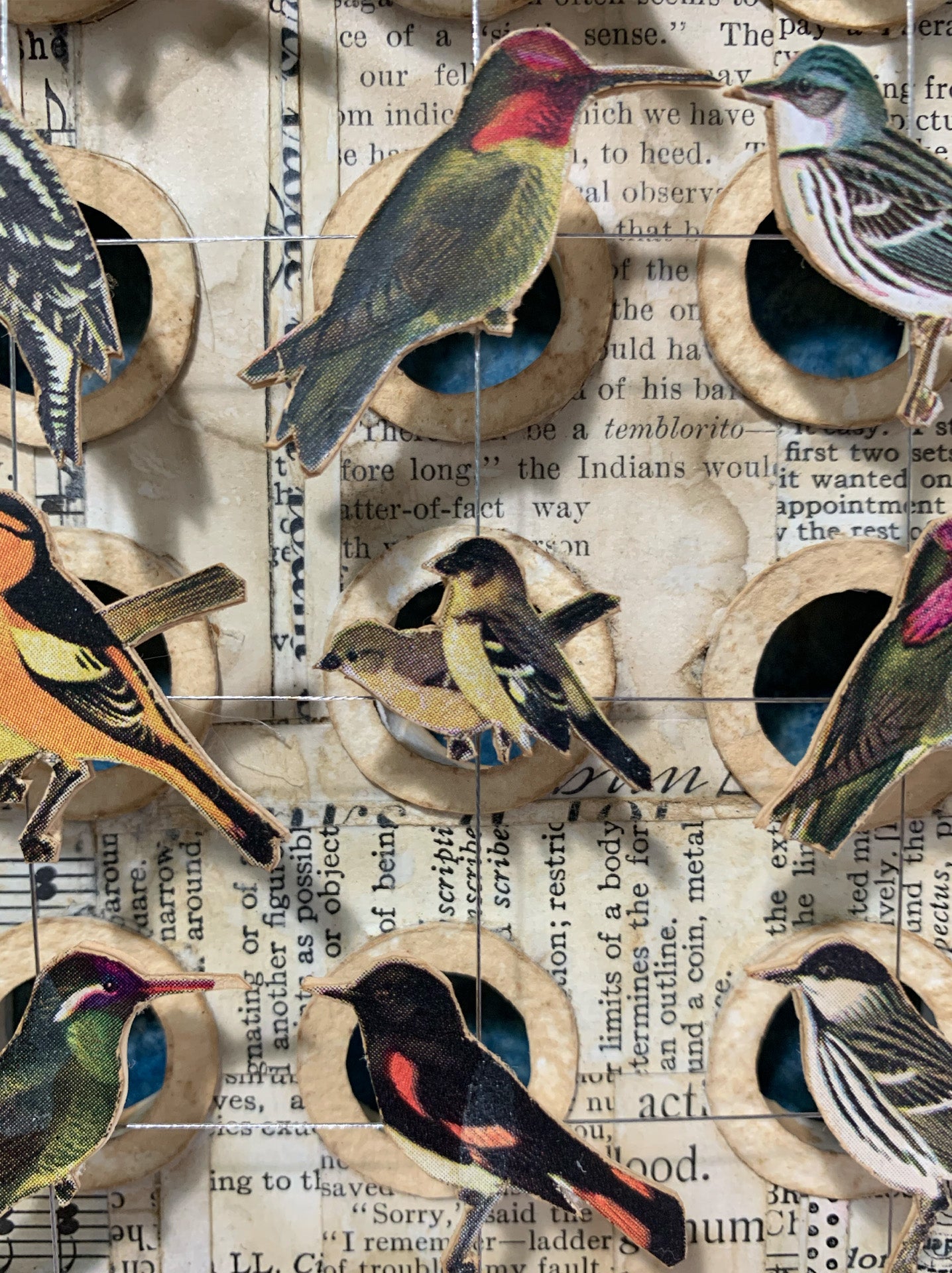 BIRD HOMES No. 1 - Sold