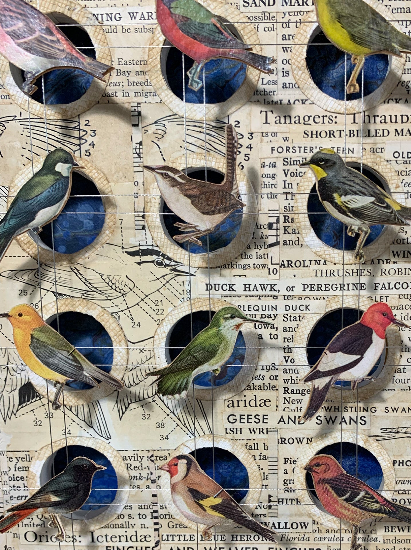 BIRD HOMES No. 2 - Sold