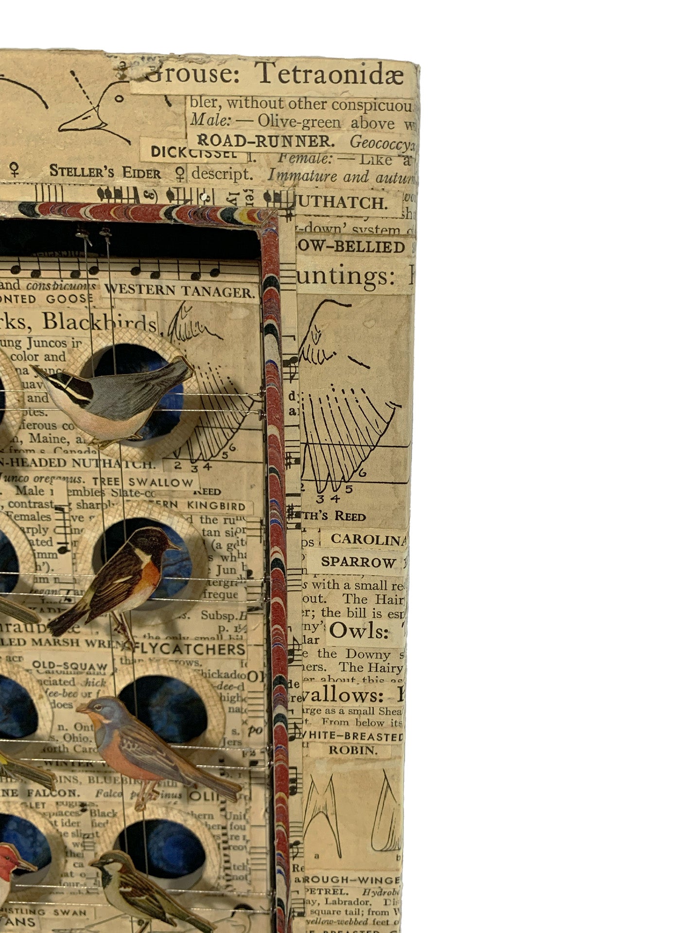 BIRD HOMES No. 2 - Sold