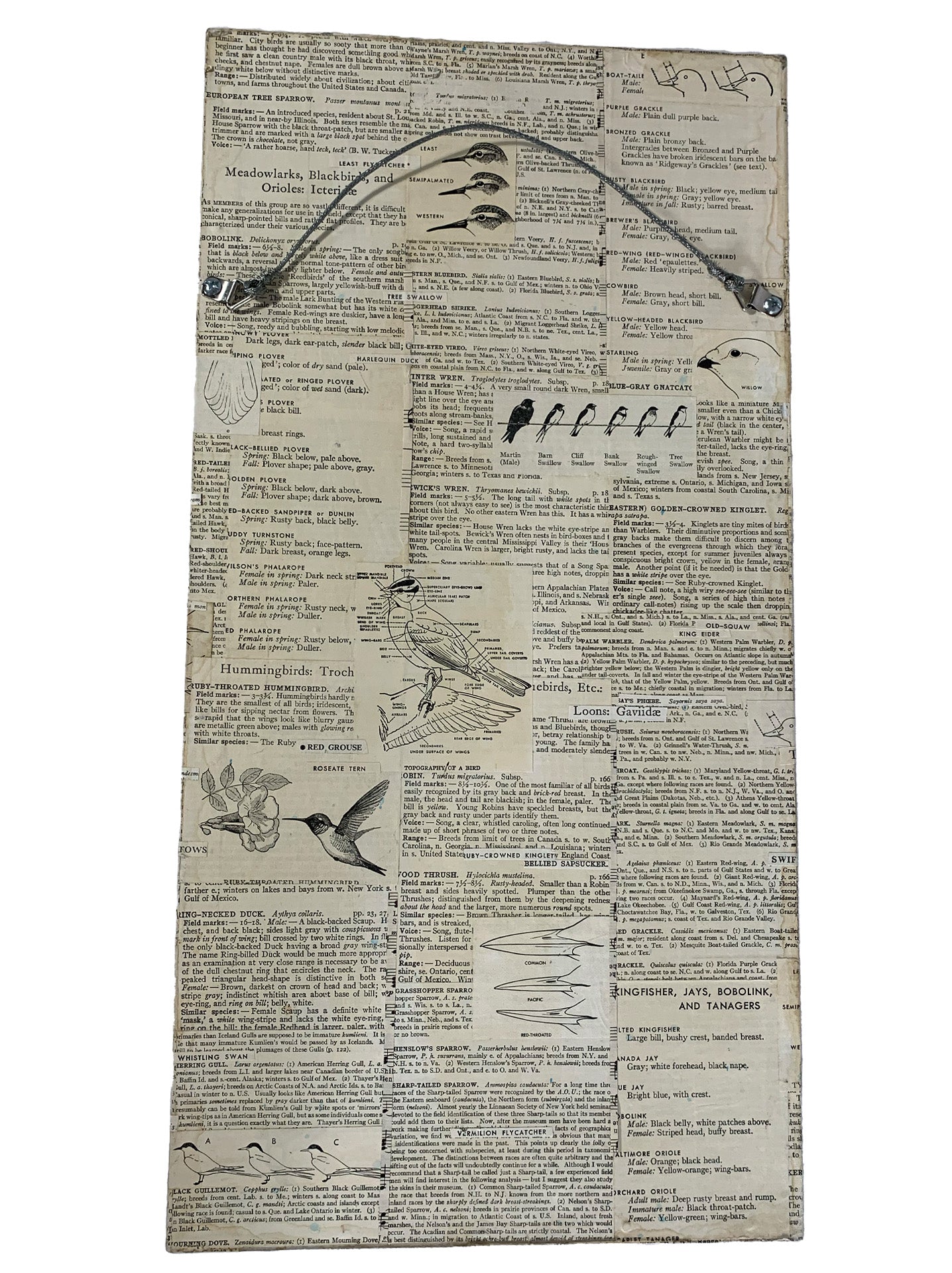 BIRD HOMES No. 2 - Sold