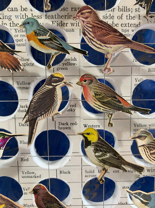 BIRD HOMES No. 3 - Sold