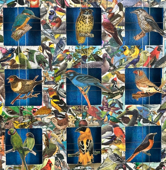 BIRD ARBORETUM
