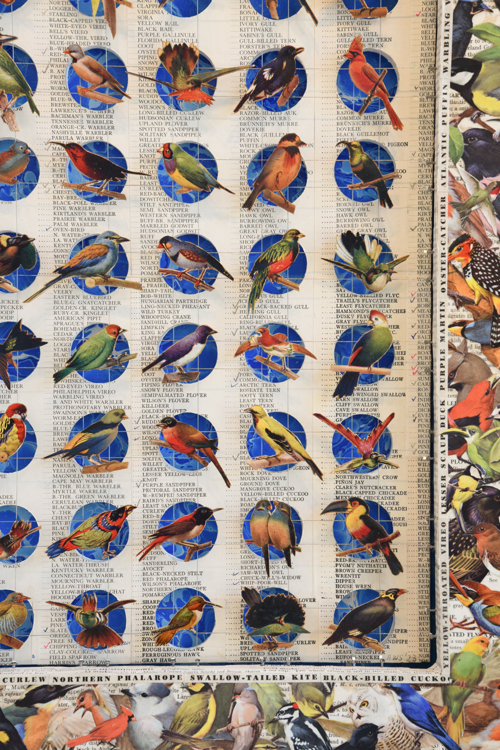 BIRDING CHECKLIST No. 2