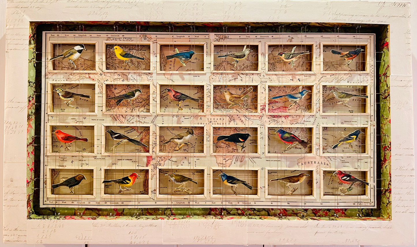 BIRDS AND WORLD MAP