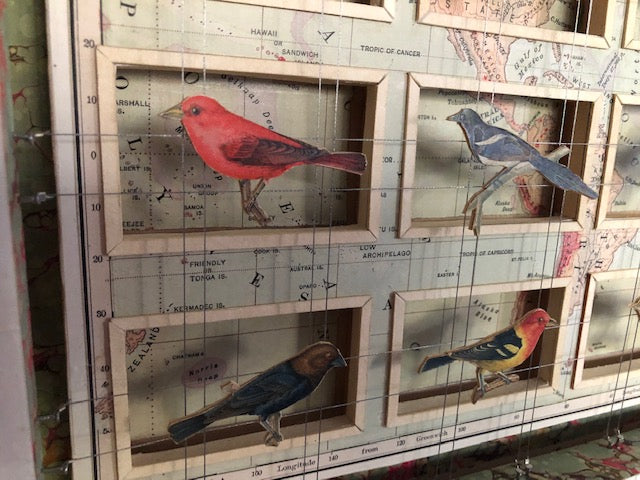 BIRDS AND WORLD MAP