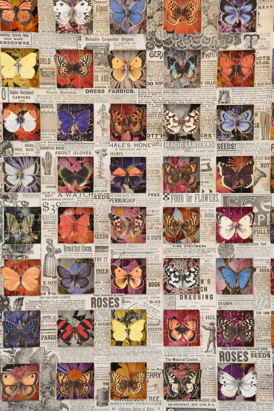 BUTTERFLY GARDEN No. 2