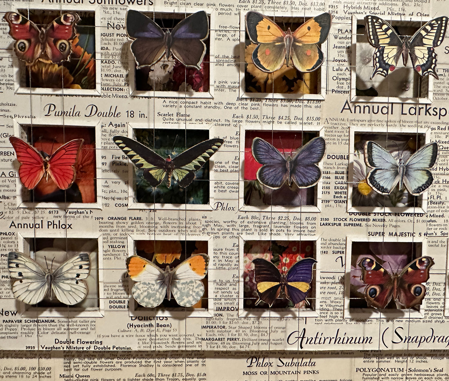 BUTTERFLY GARDEN No. 3