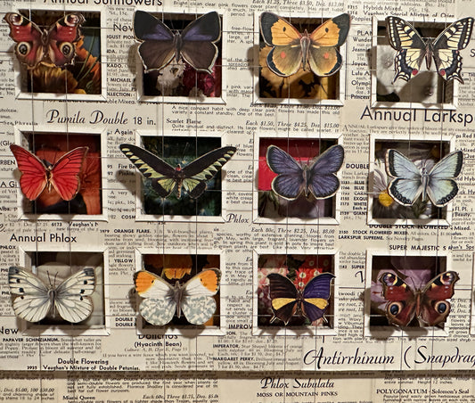 BUTTERFLY GARDEN No. 3