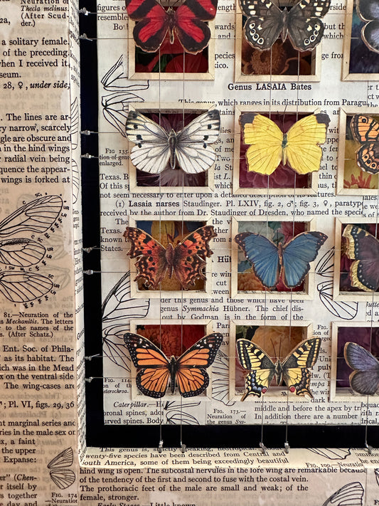 BUTTERFLY GARDEN No. 4 - Sold