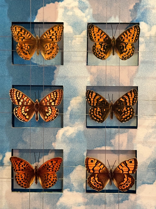 BUTTERFLYS & CLOUDS