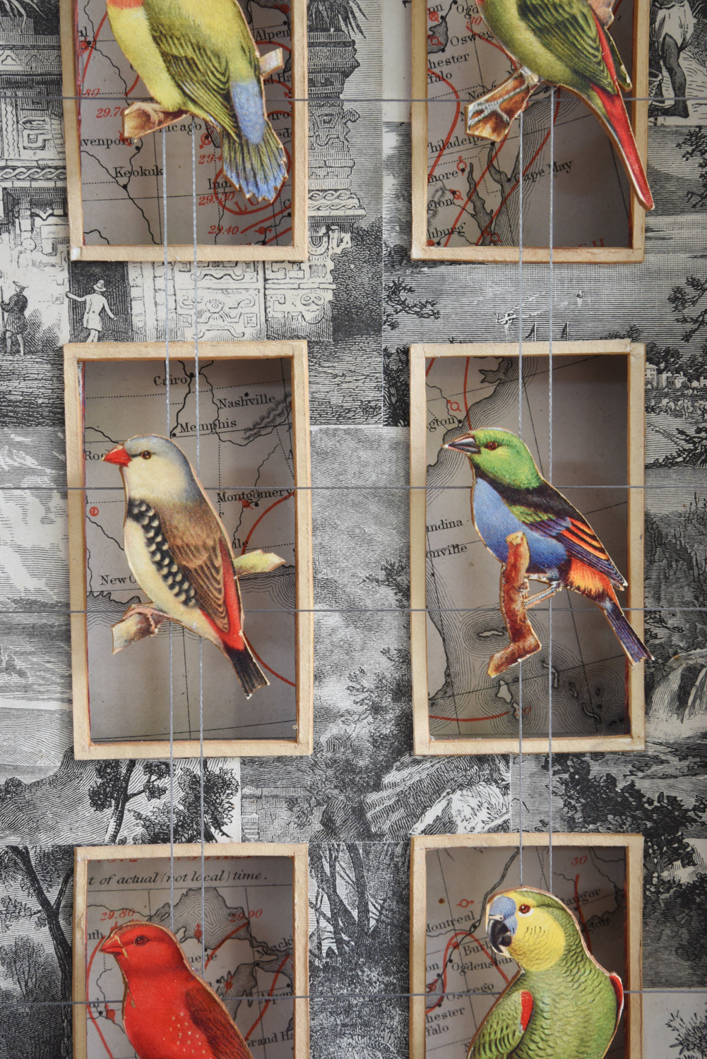 CAGE BIRDS No. 1