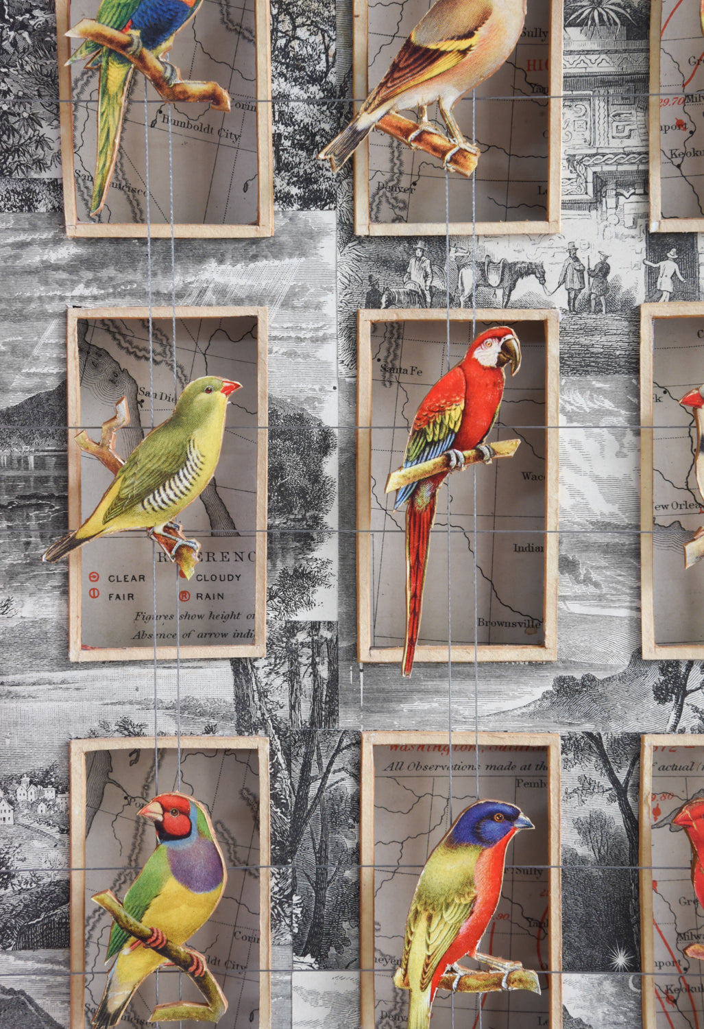 CAGE BIRDS No. 1
