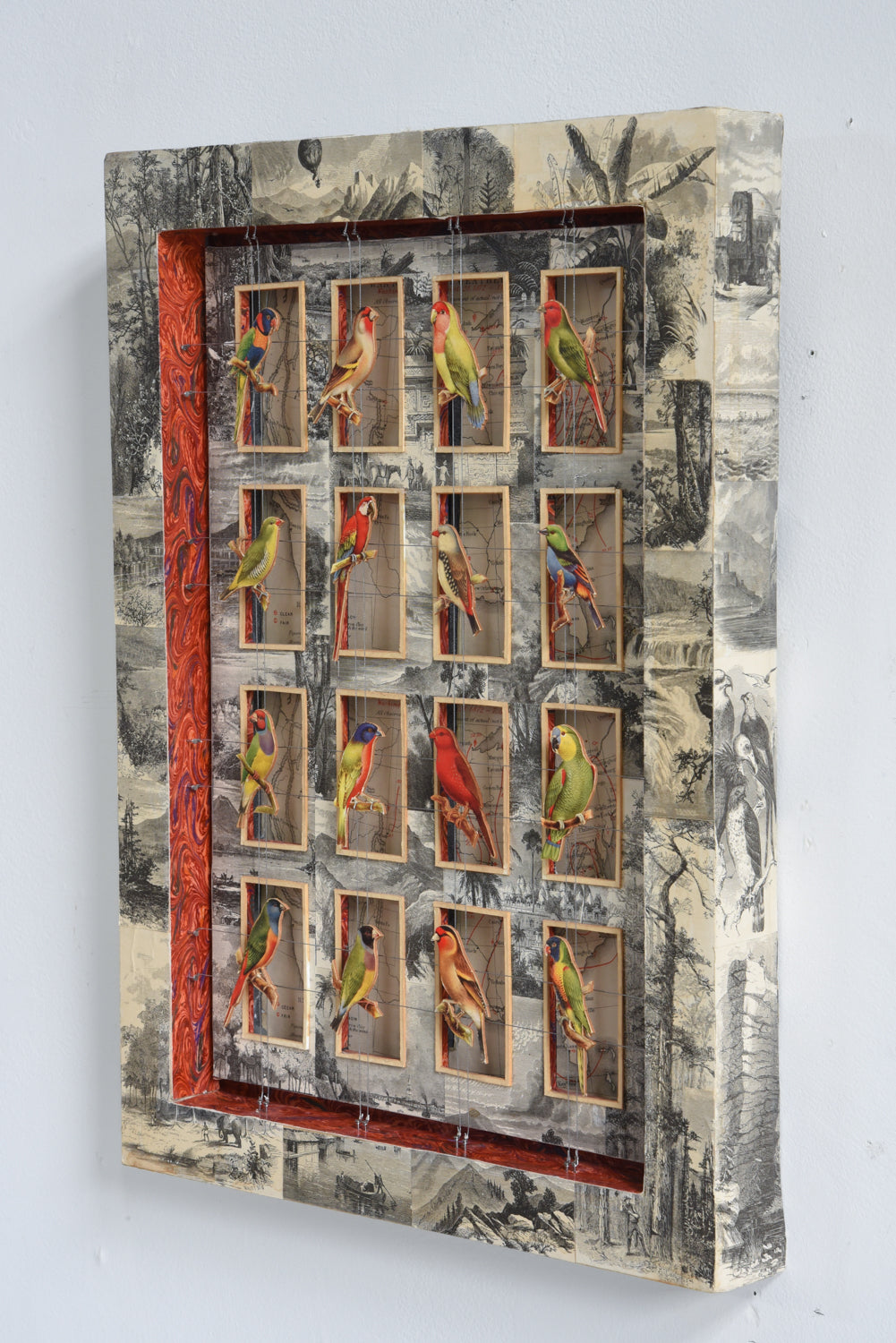 CAGE BIRDS No. 1