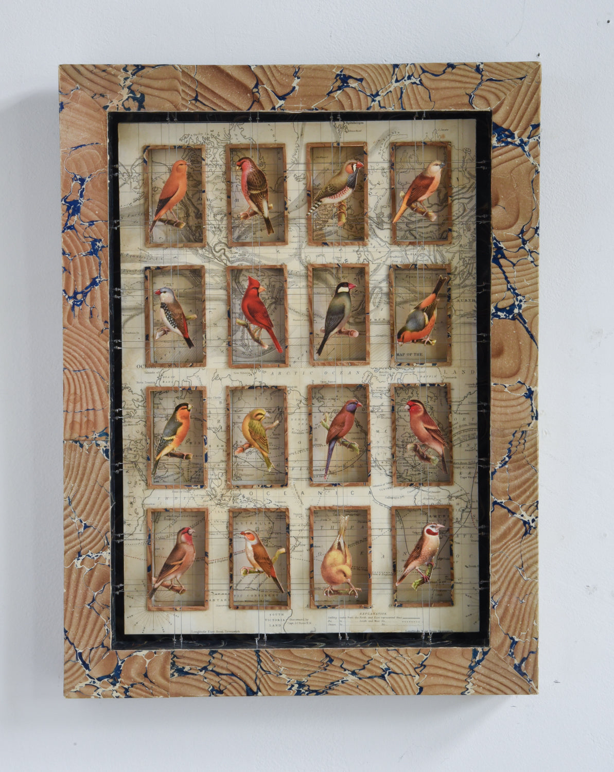 CAGE BIRDS No. 2
