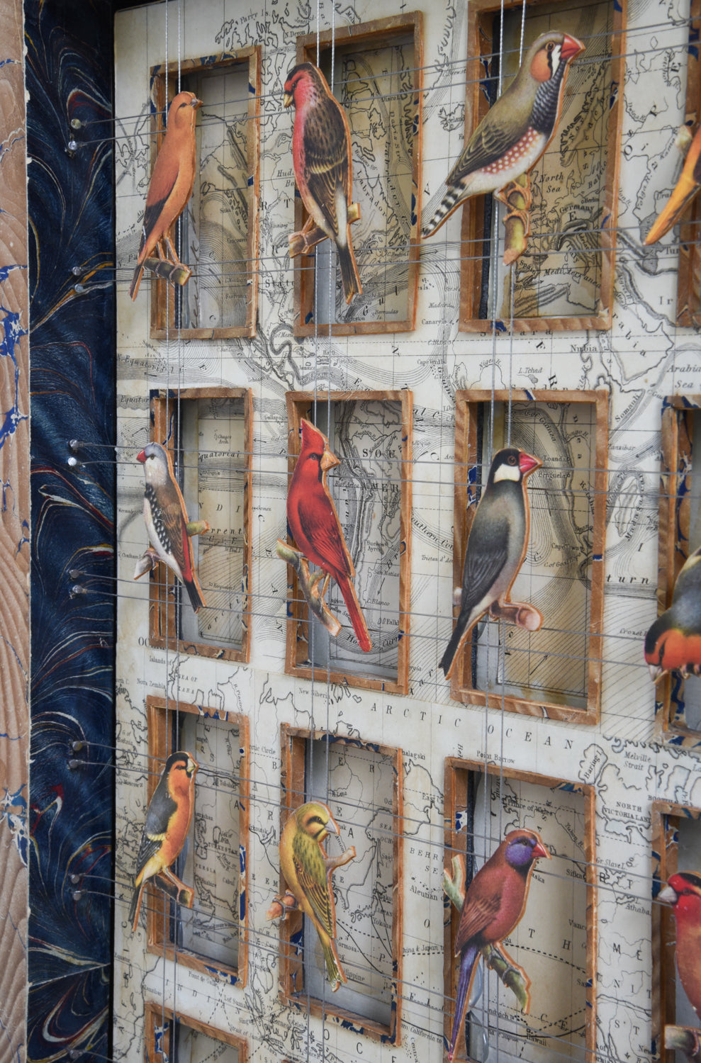 CAGE BIRDS No. 2