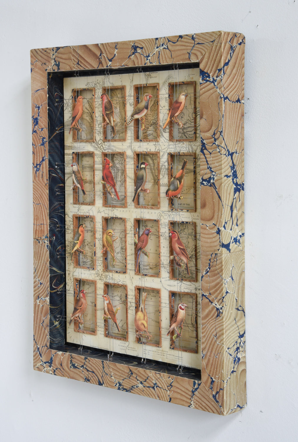 CAGE BIRDS No. 2