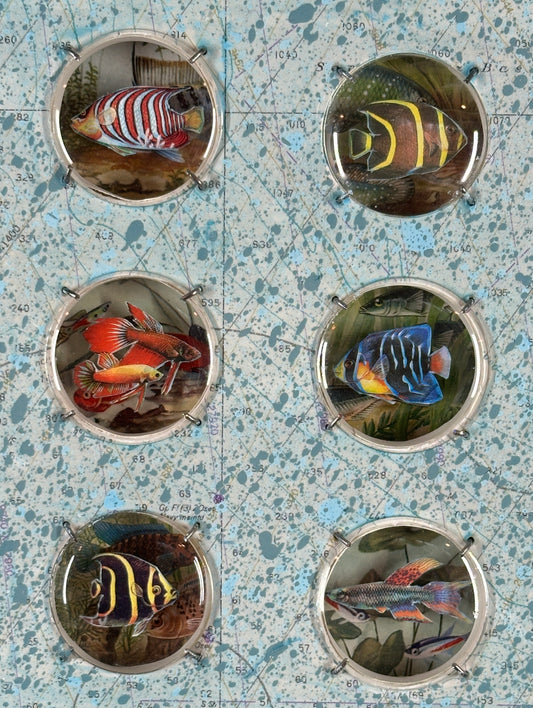 FISH PORT HOLES - SOLD