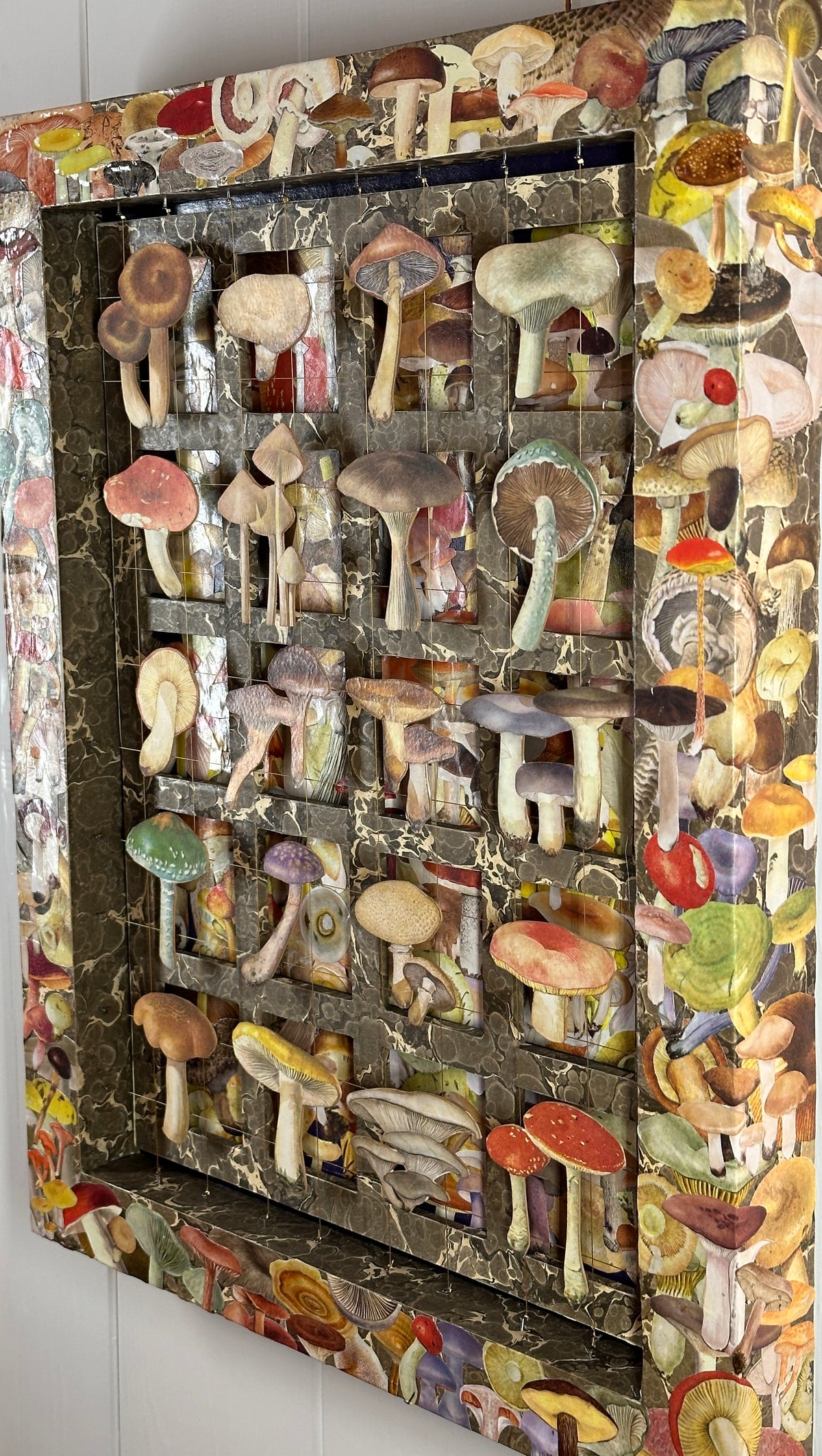 FUNGI FANTASY No. 2