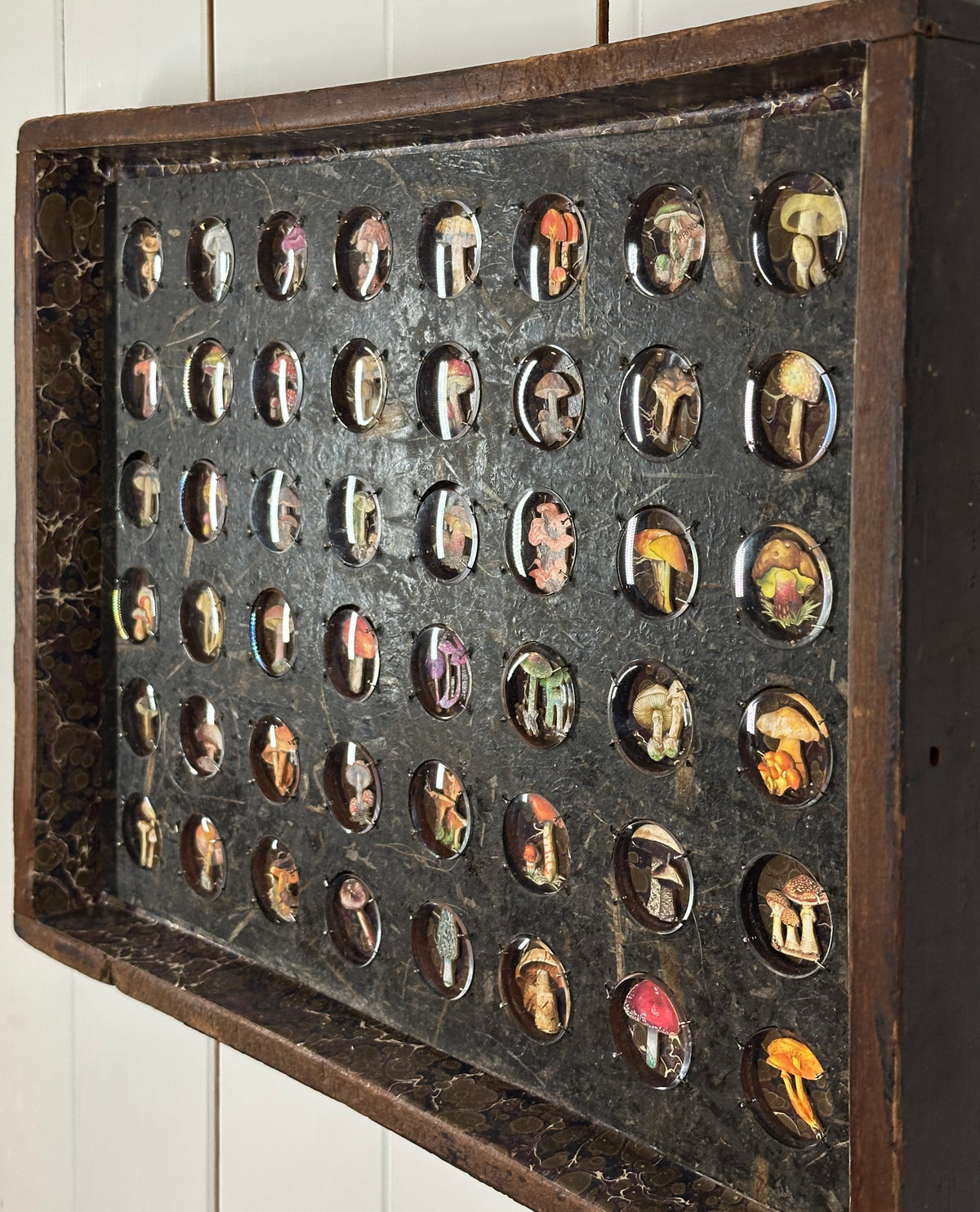 HIDDEN TREASERS