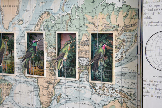 HUMMINGBIRDS SALUTE