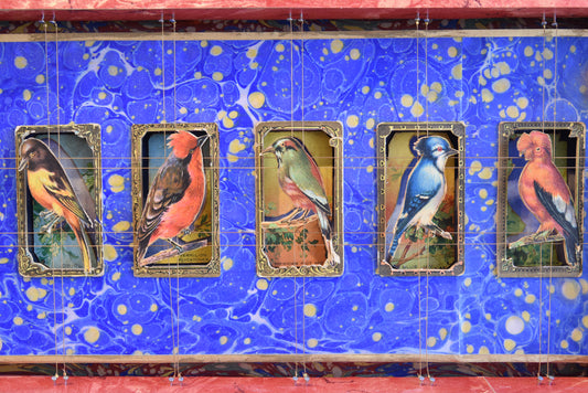 MECCA BIRD CARDS No. 3