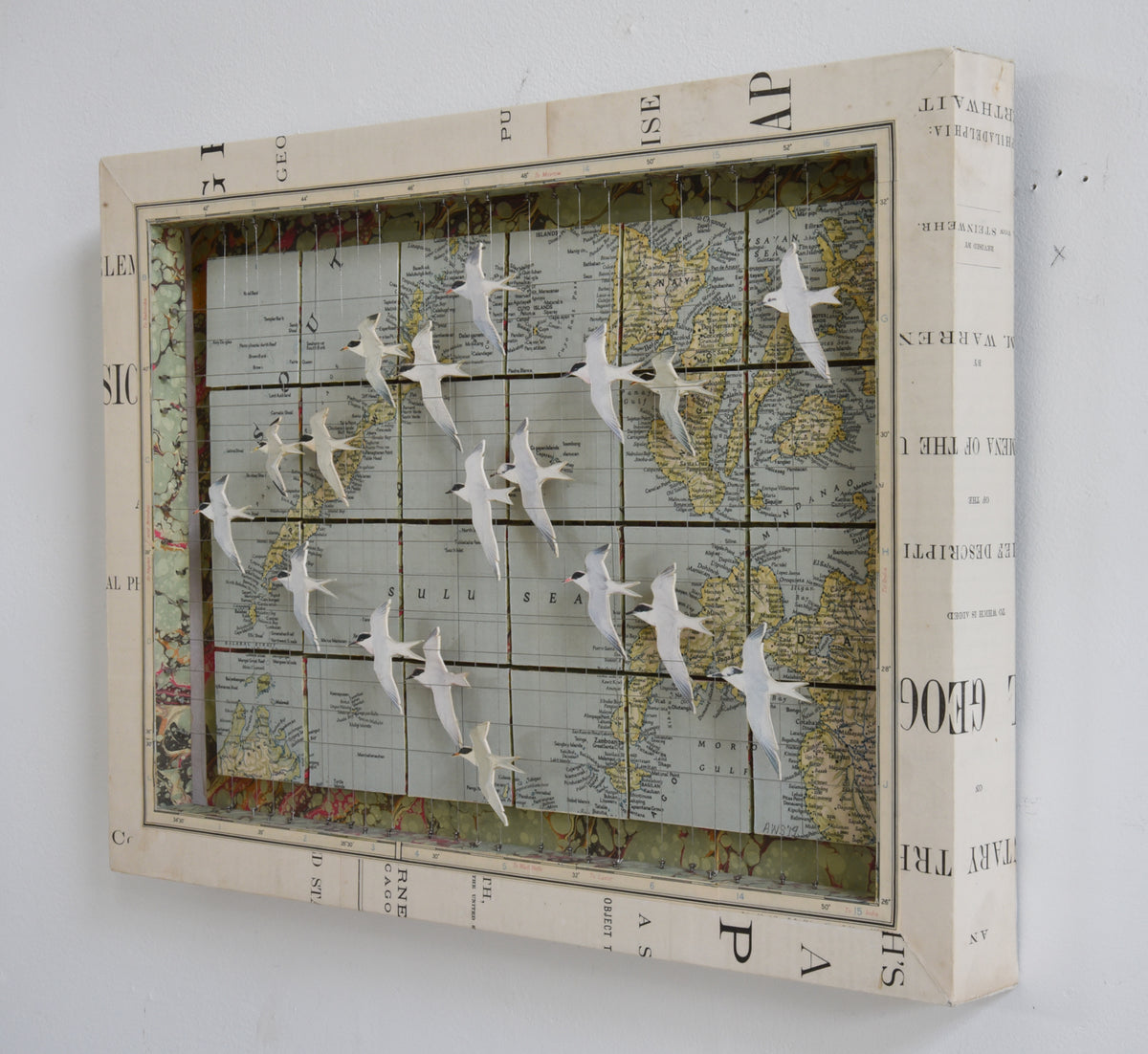 MIGRATING TERNS SULU SEA