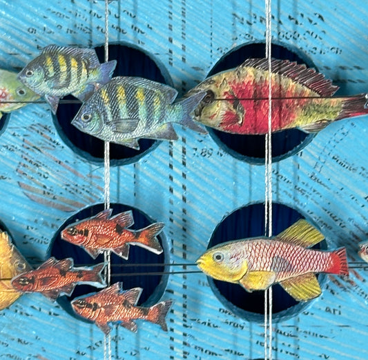 MINI FISHES - DONATION