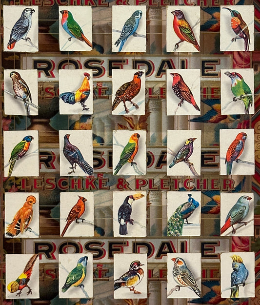 SMALL ROSEDALE BIRDS CIGAR BOX