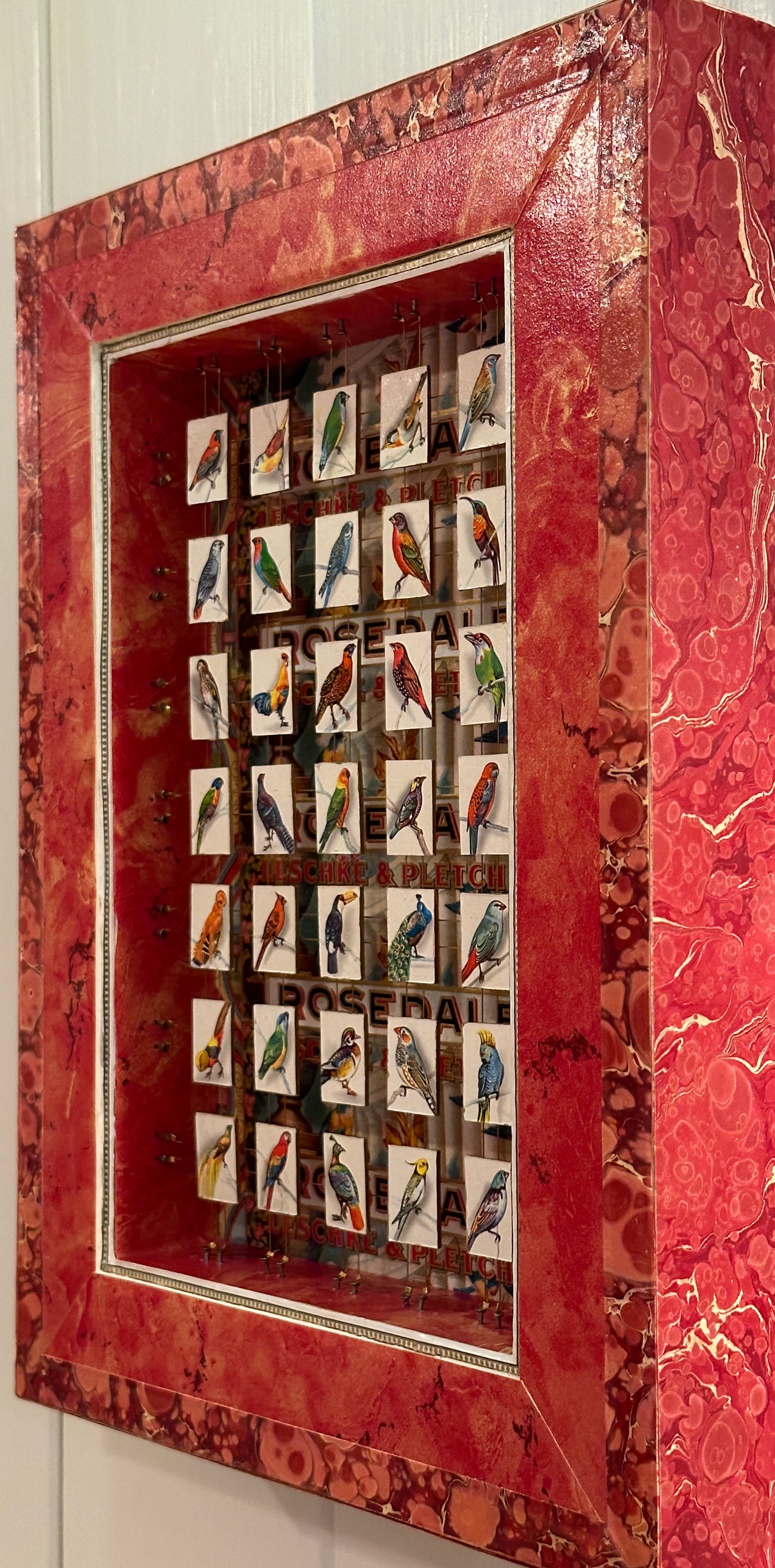 ROSEDALE BIRDS