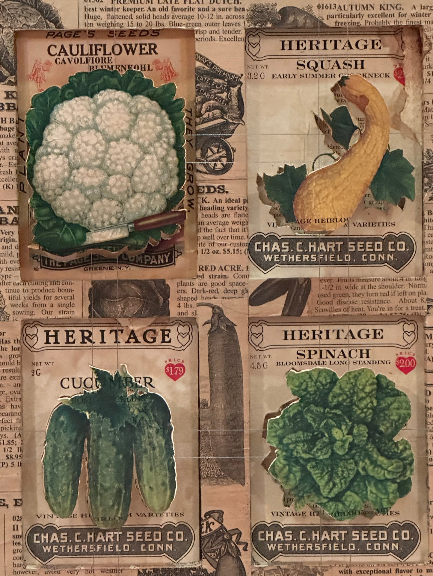 SPRING GARDENING
