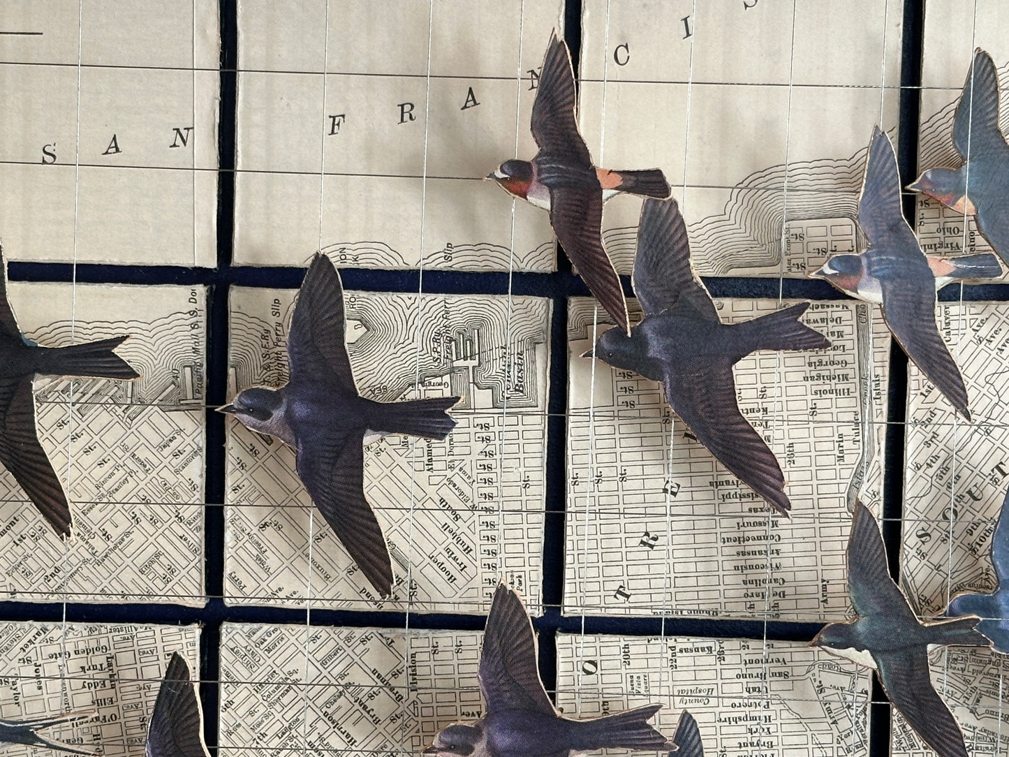 SWALLOWS OVER THE SAN FRANCISCO BAY