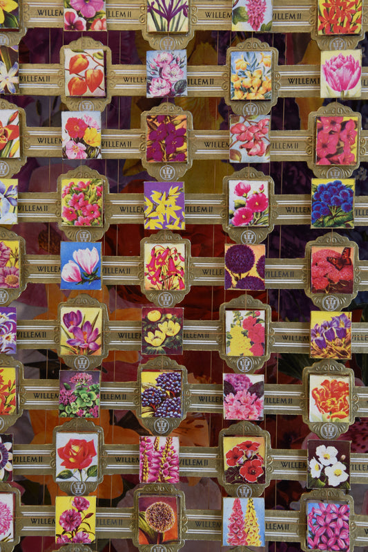 LARGE WILLEM FLOWER CIGAR BAND COLLECTION