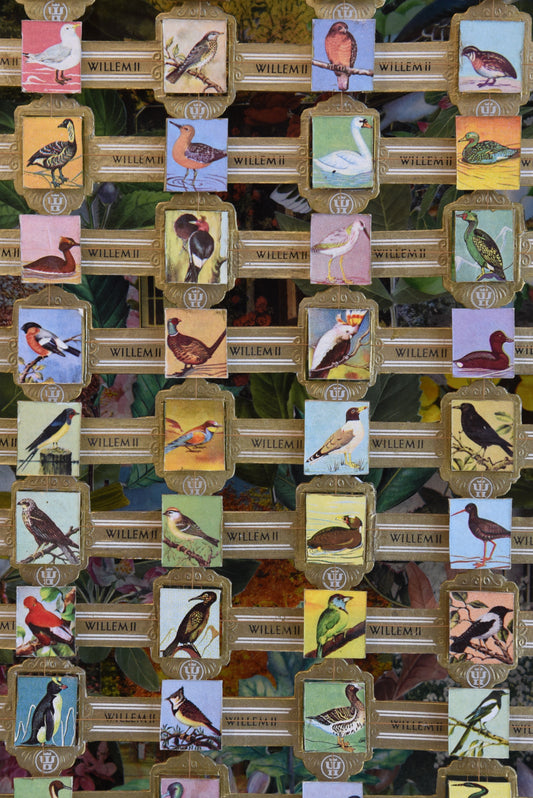 LARGE WILLEM BIRD CIGAR BAND COLLECTION