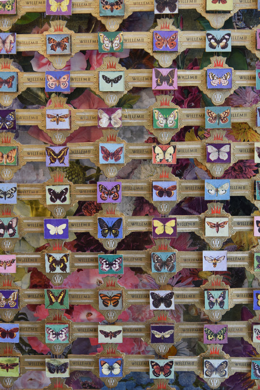 LARGE WILLEM BUTTERFLY CIGAR BAND COLLECTION