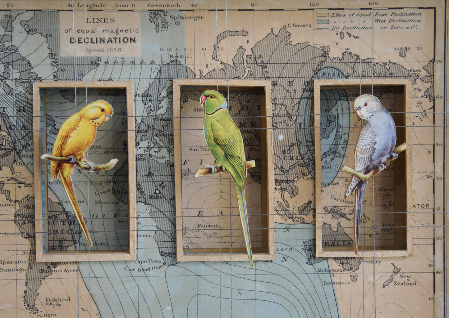 WORLDLY BIRDS No. 1