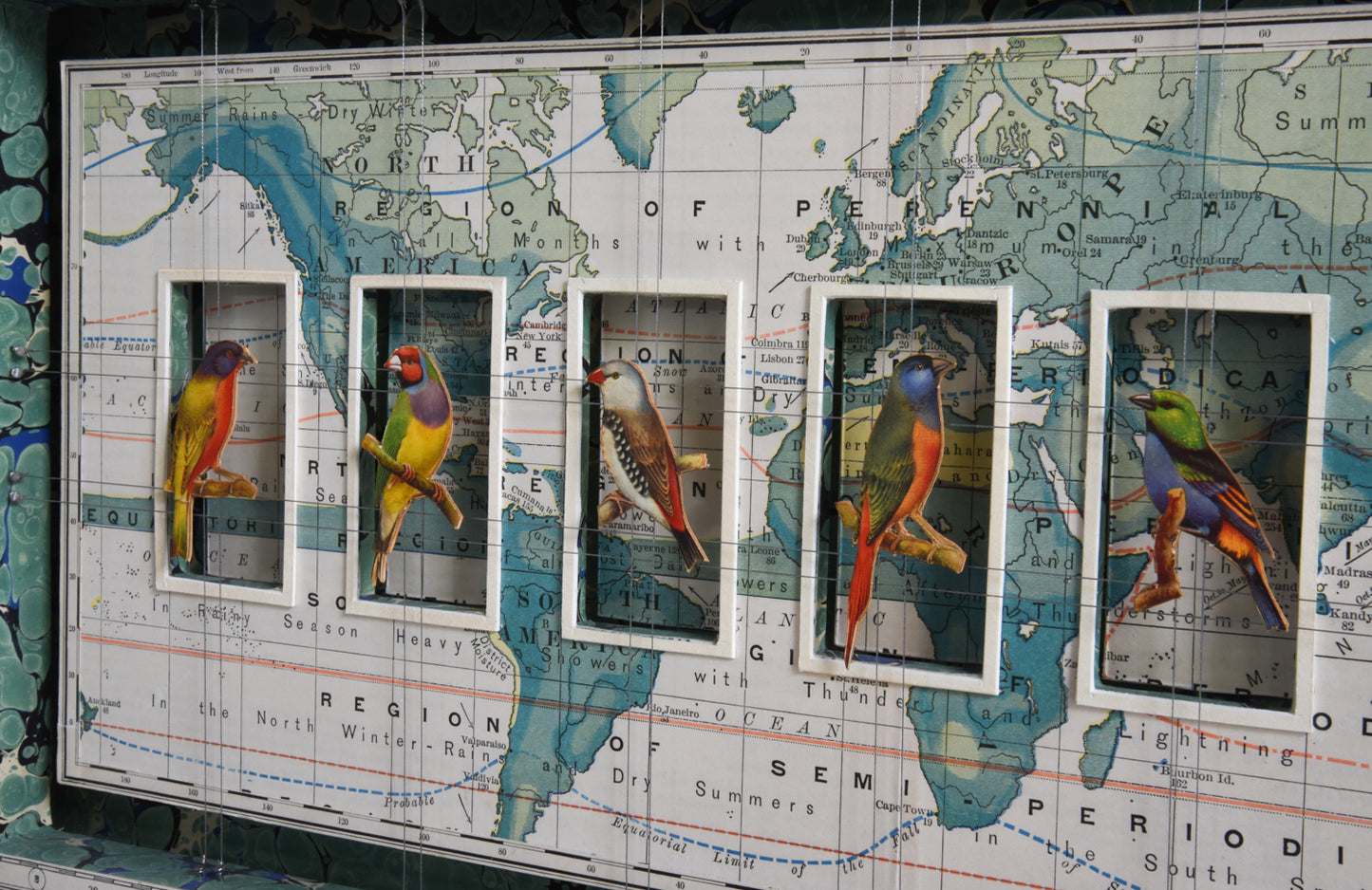 WORLDLY BIRDS No. 3