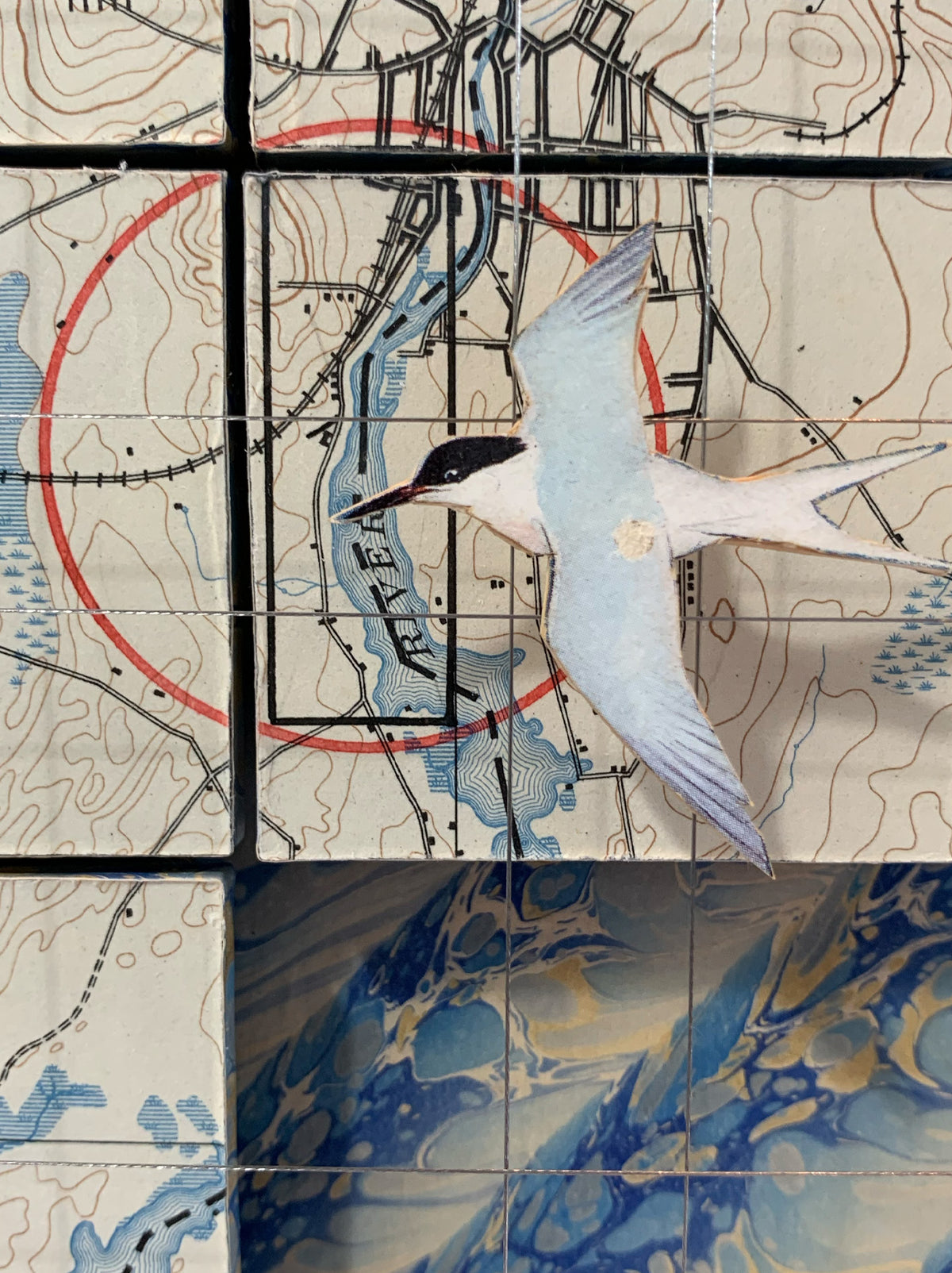 STONINGTON TERNS - Sold