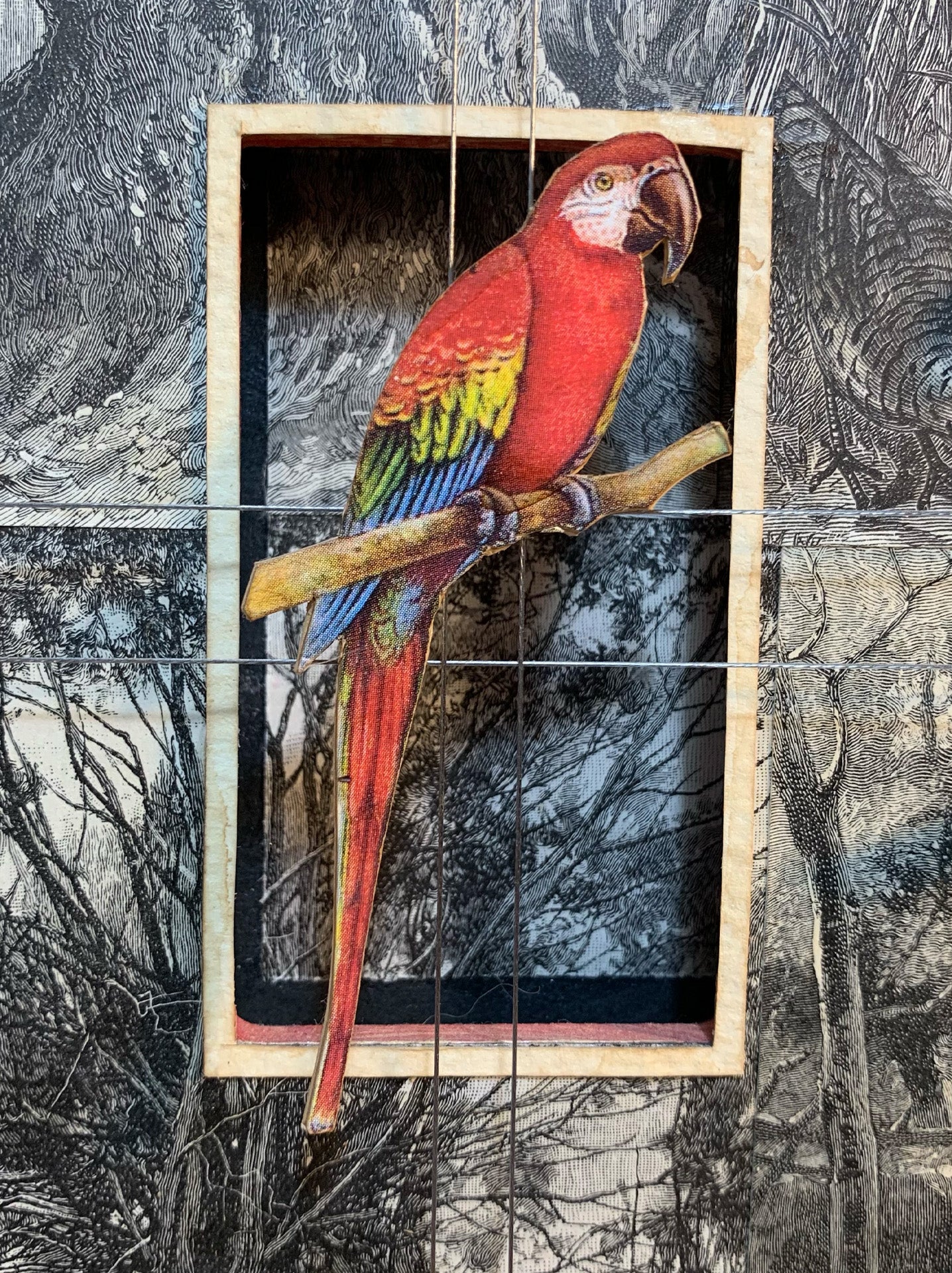 WORLDLY CAGE BIRDS No. 3