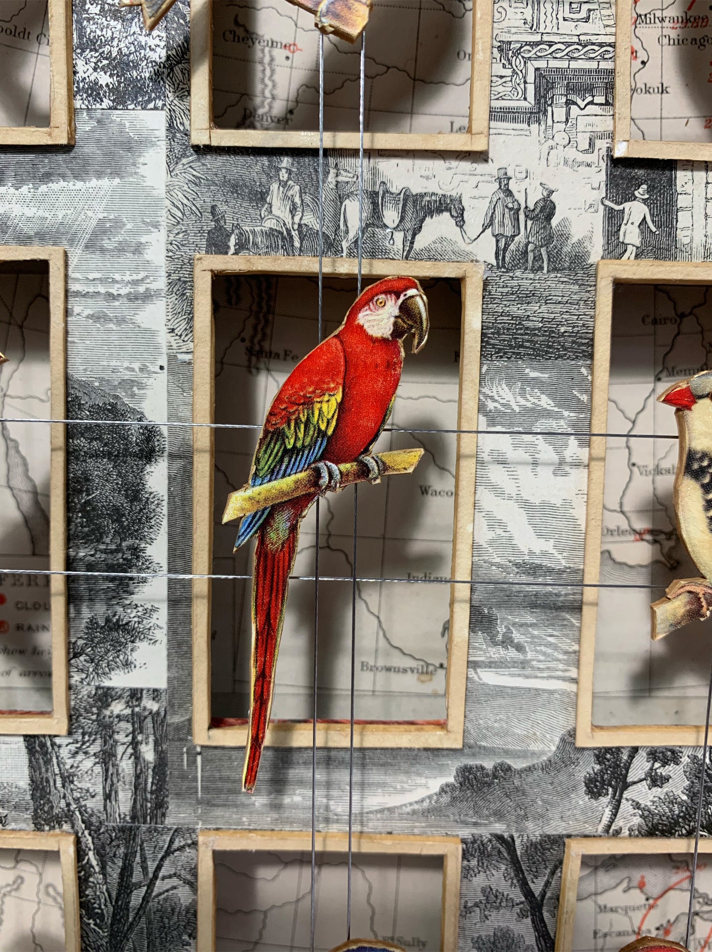 WORLDLY CAGE BIRDS No. 2