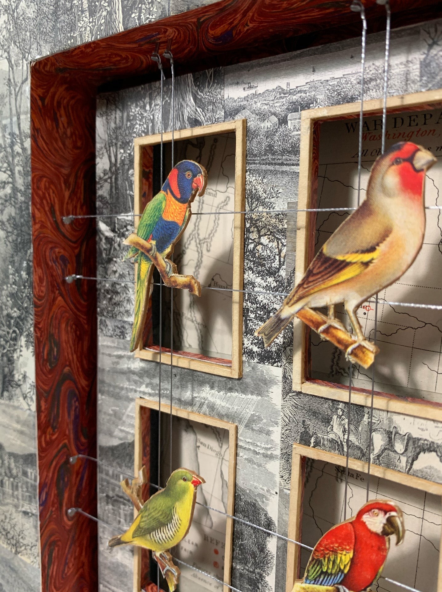 WORLDLY CAGE BIRDS No. 2