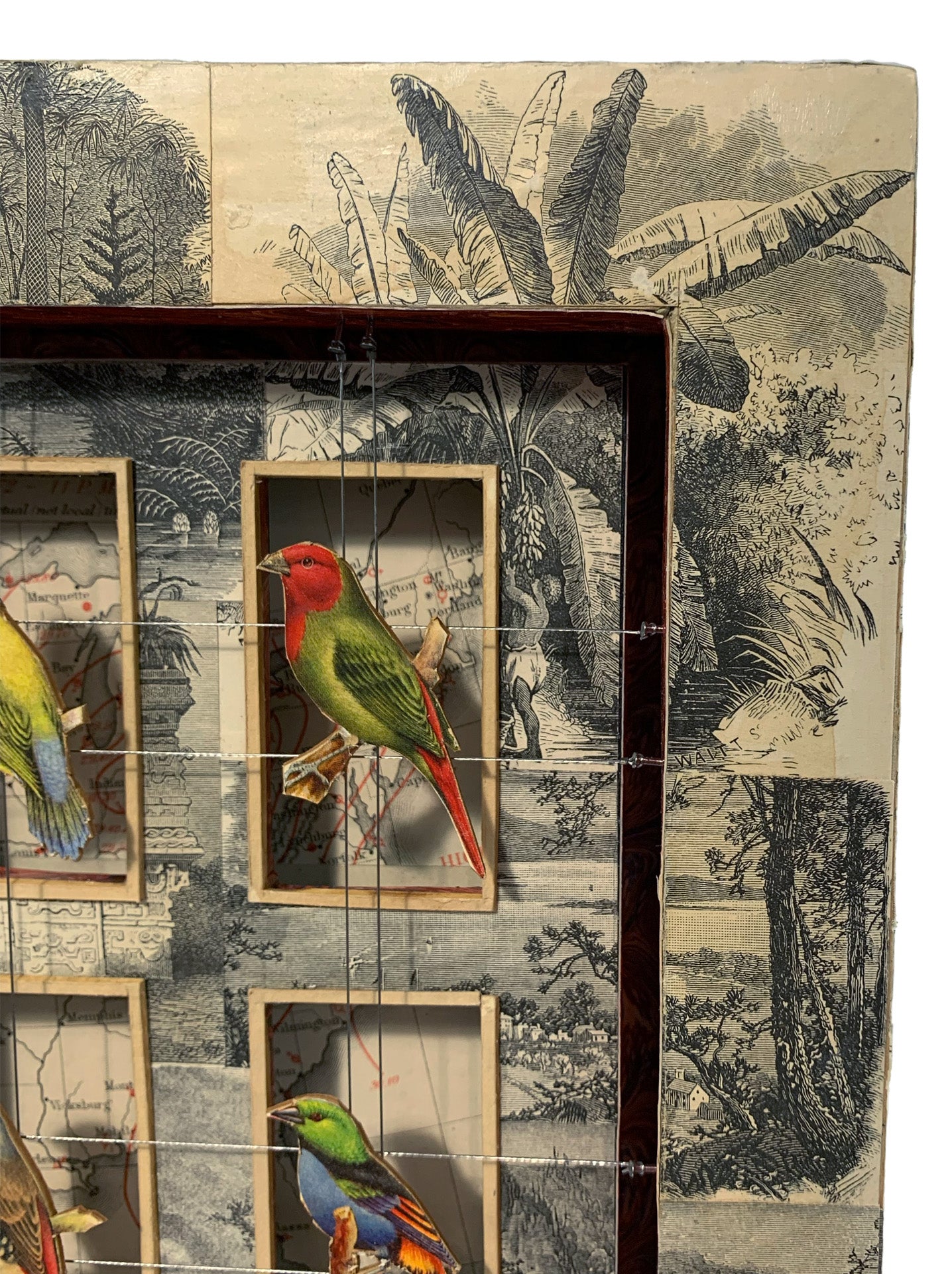 WORLDLY CAGE BIRDS No. 2