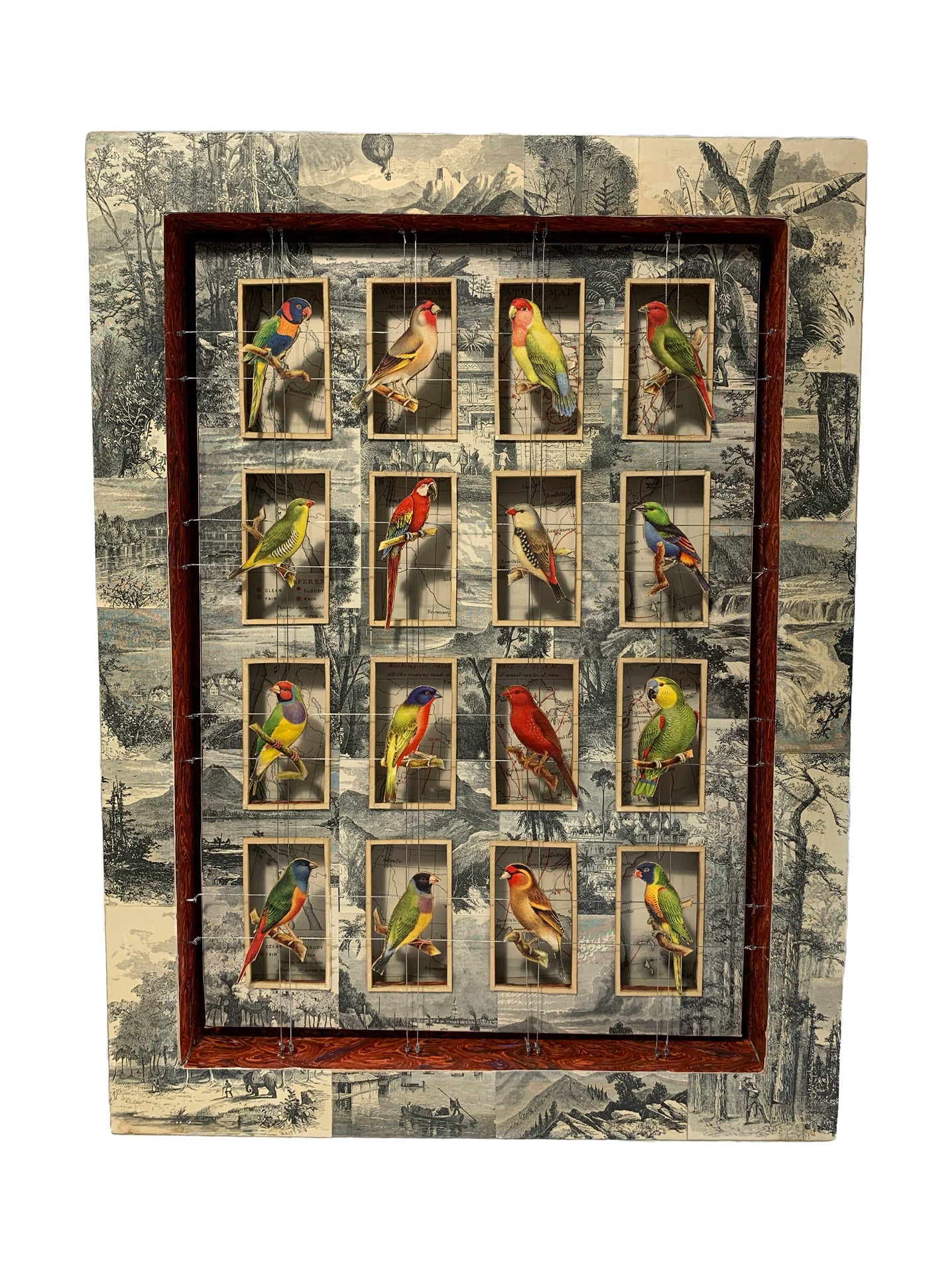 WORLDLY CAGE BIRDS No. 2
