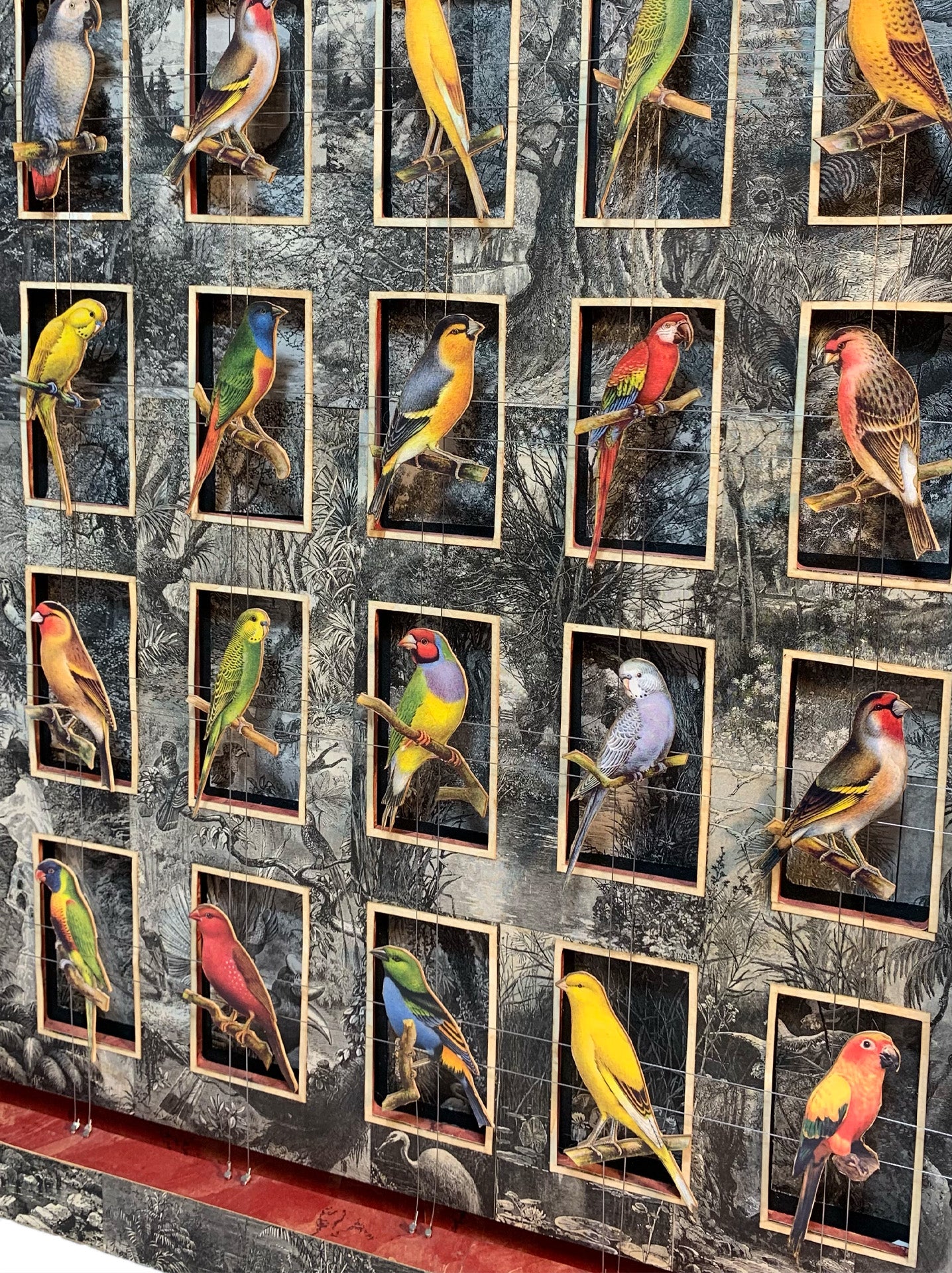 WORLDLY CAGE BIRDS No. 3