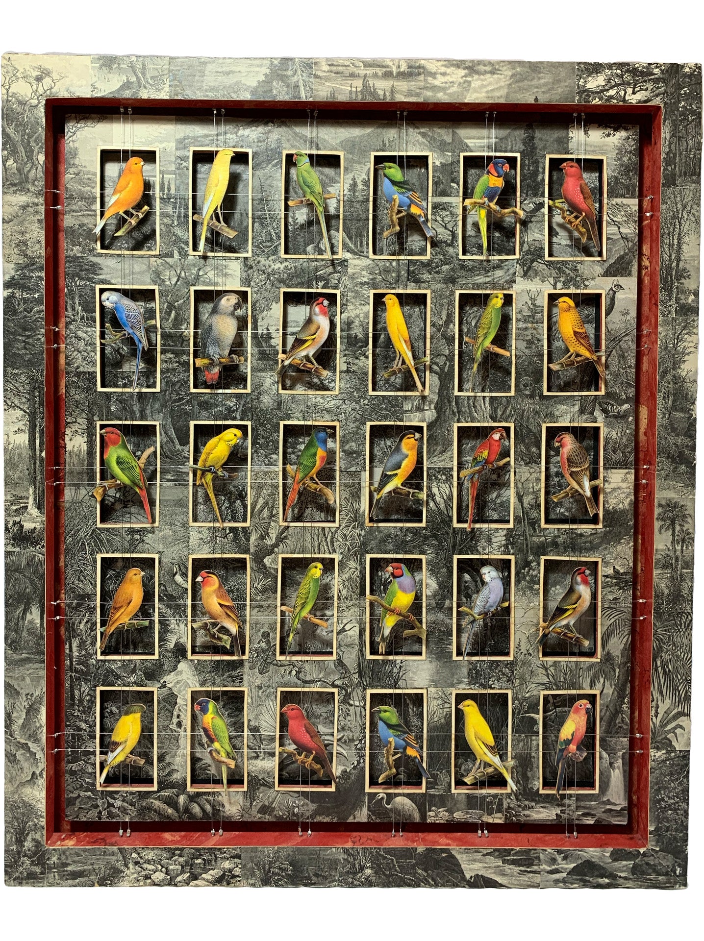 WORLDLY CAGE BIRDS No. 3