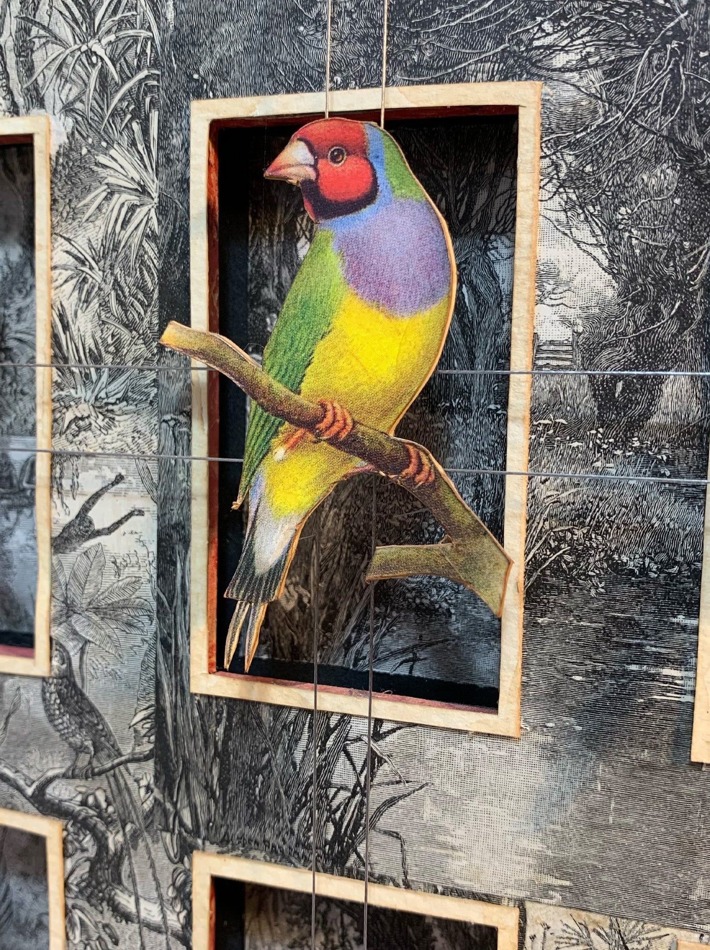 WORLDLY CAGE BIRDS No. 3